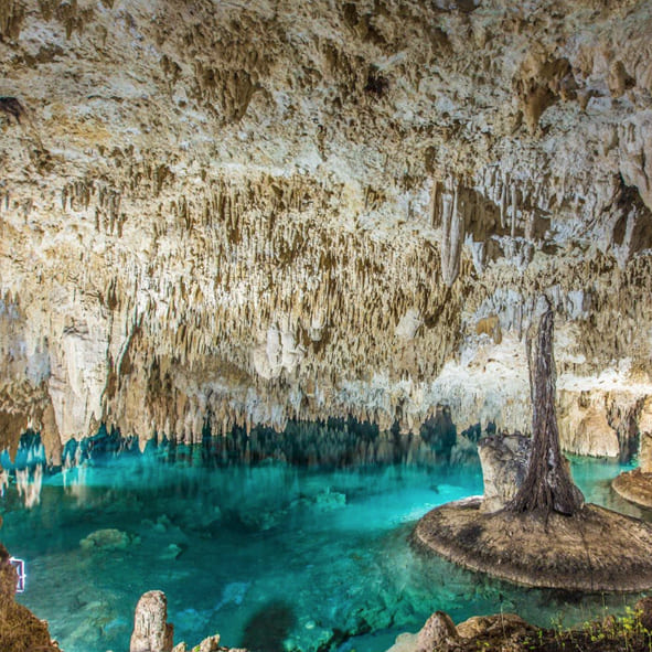Cenote Pet Cementery